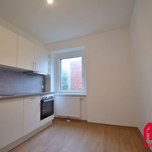 FRISCH RENOVIERT !! MODERNE 2 ZIMMER-WOHNUNG IN LINZ - IHR NEUES ZUHAUSE! - Photo 1