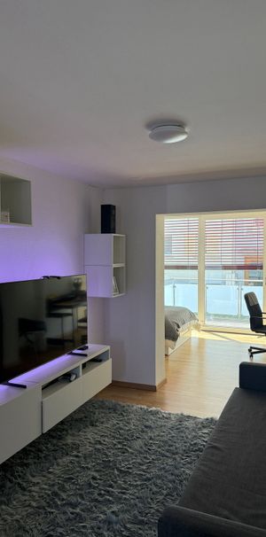 2.5 Zimmer, 38 m², EG - Foto 1
