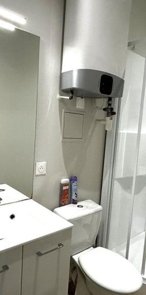 Location Appartement 1 pièce 22m² ROANNE 42300 - Photo 2