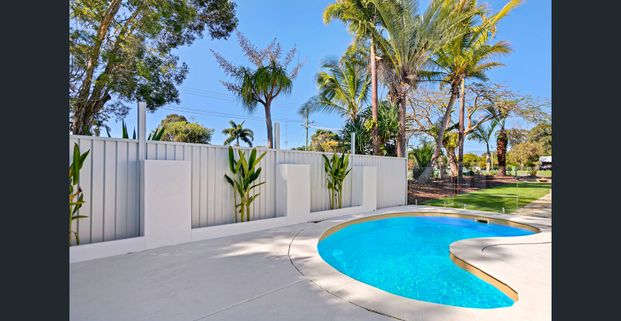 Designer Home in Prime Tewantin Location - Photo 1