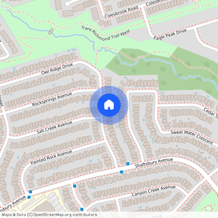 35 Owl Ridge Drive, Richmond Hill