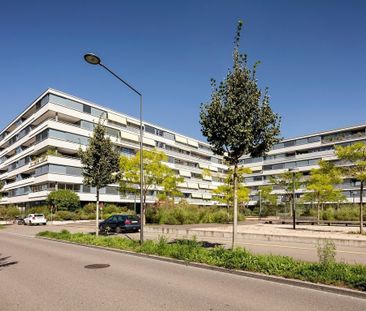 2 ½ Zimmer-Wohnung in Zürich mieten - Photo 4