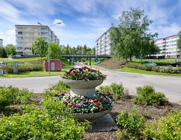 Lars Kaggsgatan, Borås - Photo 1