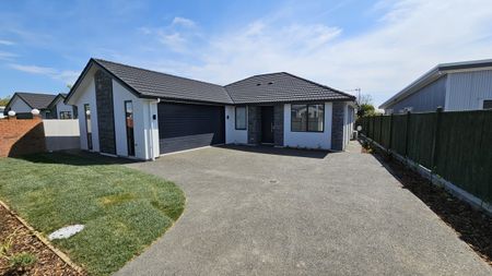 Brand New Havelock North Build! - Photo 5