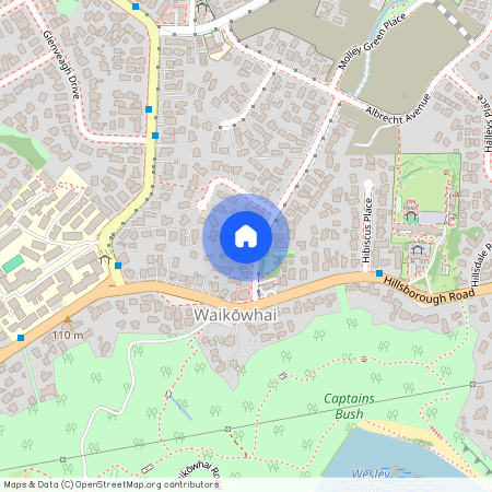 10 Quona Avenue, Mount Roskill, Auckland City