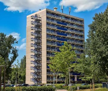 Chambre d'étudiant Uilenstede 59, Amstelveen - À louer - Foto 1