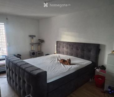 3.5 Zimmer, 86 m² - Photo 3
