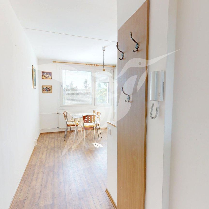 Pronájem bytu 1+1 39 m² - Photo 1