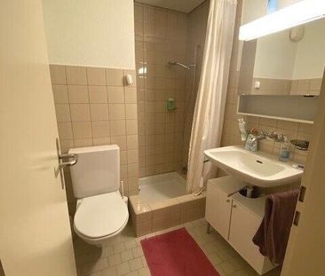 furnished apartment near Kantonsspital - Foto 1