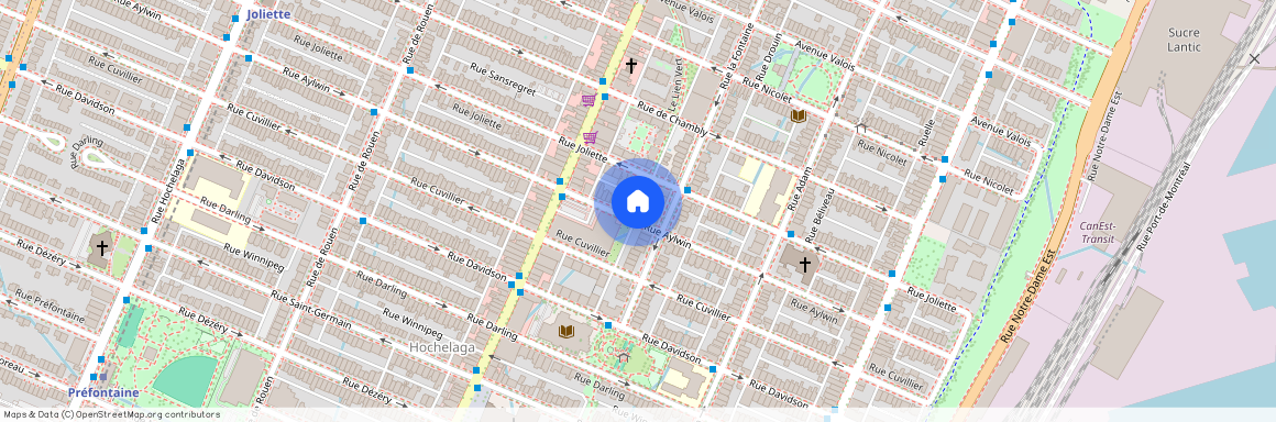 1819 Rue Aylwin - 1819, Montréal, QC H1W 3C1