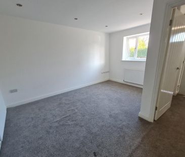 Thompson Terrace - Photo 4