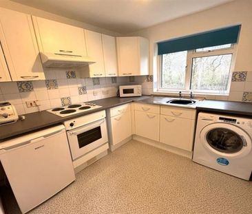 1 Bedroom Apartment To Let - Photo 5