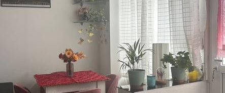 1 Zimmer Nichtraucherwohnung an 1 Person, Bonn Heerstraße - Foto 1