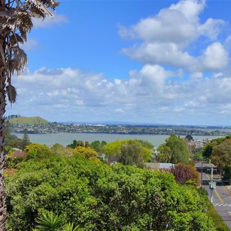 Sun Drenched and Secure in Royal Oak - Photo 1