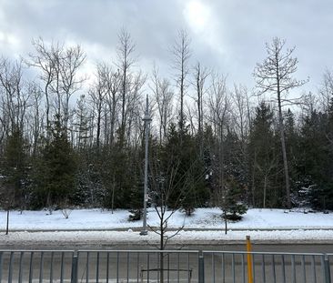 Friday Harbour Resort: Brand New 1 Bed, 1 Bath Main Floor Condo in ... - Photo 2