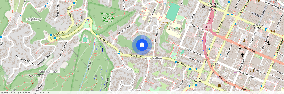 2/21 Essex Street, Aro Valley, Wellington