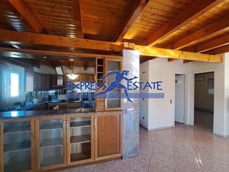 Μονοκατοικία για ενοικίαση Άγιος Παντελεήμονας (Μαραθώνας) - Φωτογραφία 4