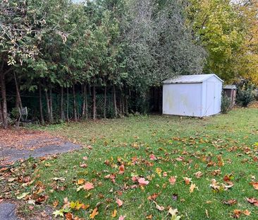 For Lease - 43 Maple Grove Avenue Unit# Basement, Richmond Hill, On... - Photo 5