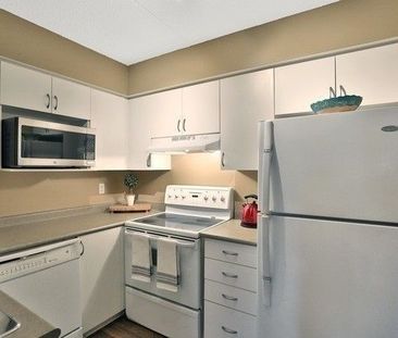 For Lease - 2035 Appleby Line Unit# 308, Burlington, Ontario - Photo 4