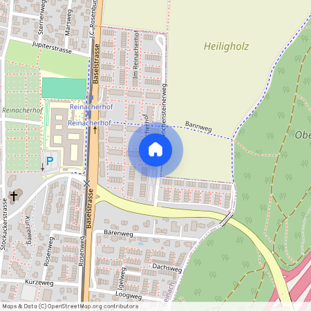 Im Reinacherhof 61-69a, 4153, Reinach Bl