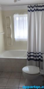 Danville – Appartement 3 1/2 à louer – Chauffé – Éclairé – Déneigé + Wi-Fi - Photo 4