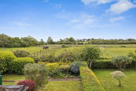Fully refurbished, village location, semi-detached house offering two double and one single bedrooms, bathroom, kitchen/dining room, sitting room, ground floor - Photo 3