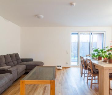 Möbl. 2-Zimmer Terrassenwohnung mit schönem Dachgarten - Photo 1