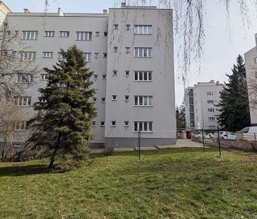 Pronájem bytu 1+1 40 m² - Photo 6