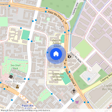 245 Pasir Ris Street 21 (510245), Singapore