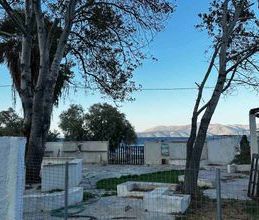 Μονοκατοικία για ενοικίαση - Βαρνάβας, - Photo 6