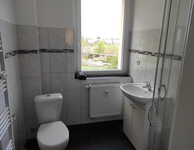 2-Raum Mietwohnung 47m² Mieterterrasse mit Grill 08064 Zwickau - Foto 1