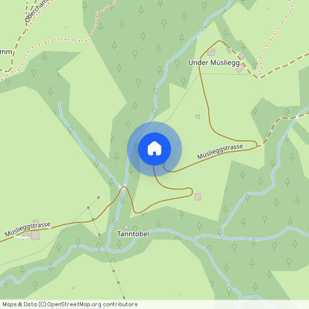 Müslieggstrasse 4, 8638 Goldingen