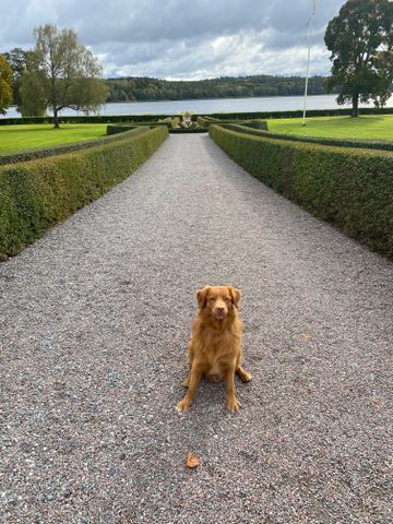 Steninge Slottsväg, Märsta - Foto 3