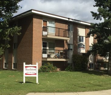 Bright, 3rd Floor 2 Bed Apartment in Quiet, Mature Neighbourhood - Photo 6