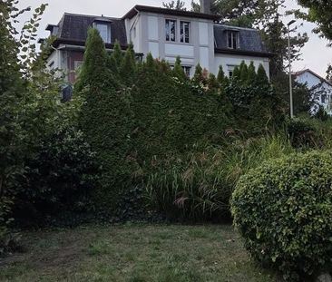 1 Zimmer, 20 m², EG - Foto 6