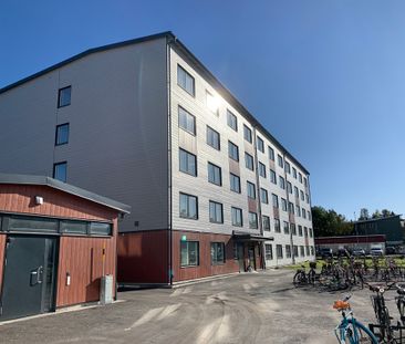 Tvistevägen, Umeå - Photo 2