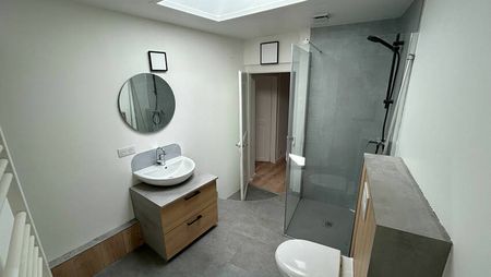 A LOUER - 2 PIECES REFAIT A NEUF - ROBERTSAU - STRASBOURG - Photo 4