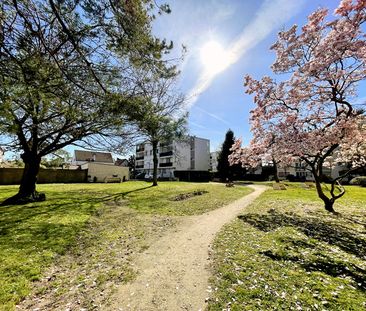 Location Appartement 3 pièces 50m² - Photo 1