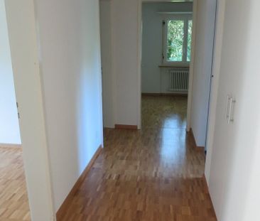 3 Zimmer-Wohnung in Feldmeilen mieten - Photo 6