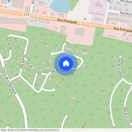 773 Rue du Muguet, Sainte-Agathe-des-Monts, Sainte-Agathe-des-Monts, Laurentides, J8C 2Z7