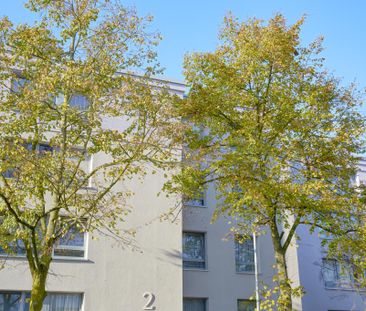 Hier macht Wohnen Spaß! 3-Zimmer-Wohnung mit neuem Laminatboden. - Photo 6