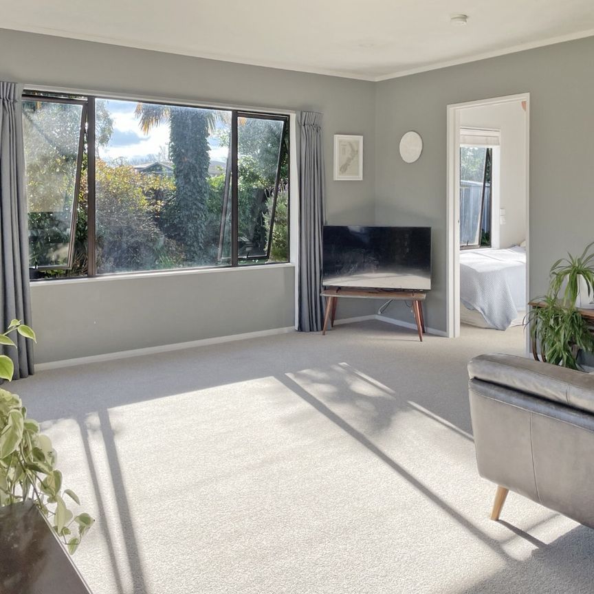 Grant Street, Havelock North - Photo 1