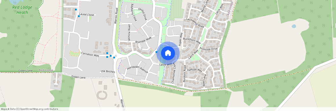 Tiger Flower Way, Bury St. Edmunds