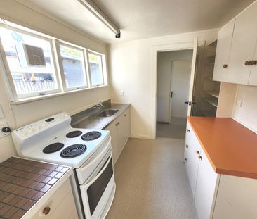 Aro Valley Living - Photo 6