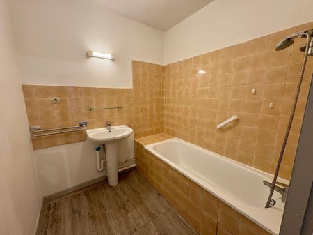 Location Appartement 2 pièces 50m² GRENOBLE 38100 - Photo 2