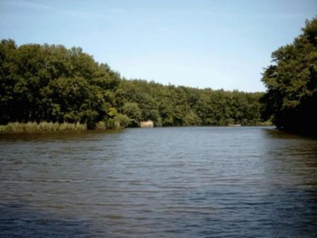 Bezuidenhoutseweg 339 A - Photo 4