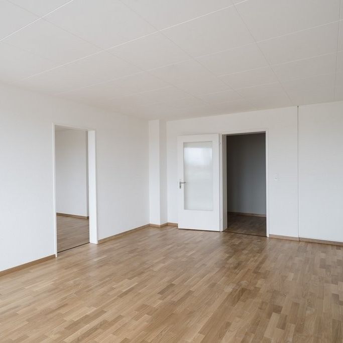 Totalsaniertes Jugendstilhaus oberhalb dem Stadtzentrum - Photo 1