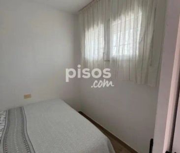 Piso en alquiler en Calle Calle - Foto 3