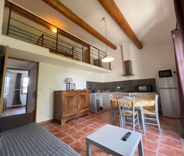 Location Appartement 2 pièces 30m² MAZAN 84380 - Photo 1