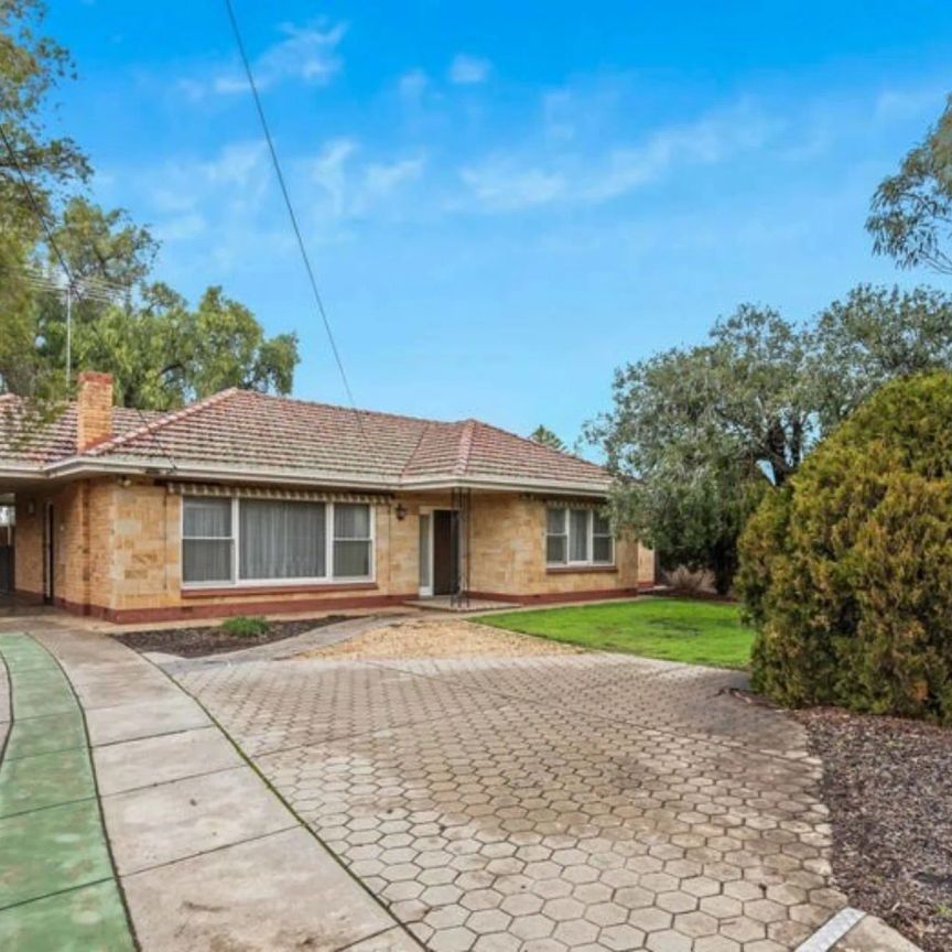 Spacious Family Home in a Quiet, Convenient Location - Photo 1